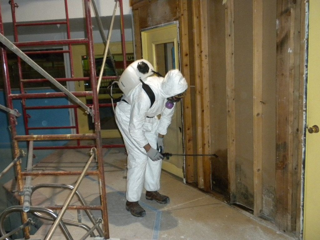 Mold_remediation_Annapolis